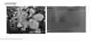 Fig. 02 - Preparation of and formulation comprising a MEK inhibitor