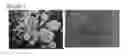 Fig. 02 - Preparation of and formulation comprising a MEK inhibitor