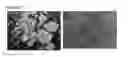 Fig. 02 - Preparation of and formulation comprising a MEK inhibitor