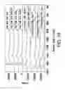 Fig. 20 - Formulations of 2-(tert-butylamino)-4-((1R,3R,4R)-3-hydroxy-4-Methylcyclohexylamino)-pyrimidine-5-carboxamide