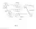 Fig. 02 - Manumycin-type metabolite called Colabomycin E which inhibits caspase 1 and creation of interleukins, strain produces the Colabomycin E and a method of a production of the Colabomycin E