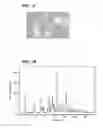 Fig. 10 - Crystalline forms of a biphenyl compound