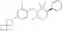 Fig. 207 - Aryl sultam derivatives as RORc modulators