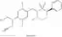 Fig. 249 - Aryl sultam derivatives as RORc modulators