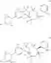 Fig. 59 - Aryl sultam derivatives as RORc modulators