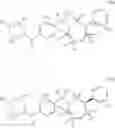 Fig. 61 - Aryl sultam derivatives as RORc modulators