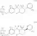 Fig. 65 - Aryl sultam derivatives as RORc modulators