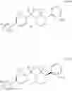 Fig. 67 - Aryl sultam derivatives as RORc modulators