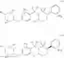Fig. 70 - Aryl sultam derivatives as RORc modulators