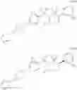 Fig. 81 - Aryl sultam derivatives as RORc modulators