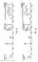 Fig. 05 - ISOTOPICALLY ENRICHED AZAINDOLES