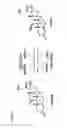 Fig. 03 - PYRAZOLO PYRIMIDINE DERIVATIVES AND METHODS OF USE THEREOF