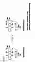 Fig. 04 - PYRAZOLO PYRIMIDINE DERIVATIVES AND METHODS OF USE THEREOF