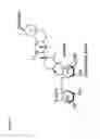 Fig. 09 - PYRAZOLO PYRIMIDINE DERIVATIVES AND METHODS OF USE THEREOF