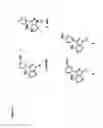 Fig. 10 - PYRAZOLO PYRIMIDINE DERIVATIVES AND METHODS OF USE THEREOF