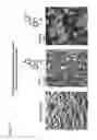 Fig. 11 - PYRAZOLO PYRIMIDINE DERIVATIVES AND METHODS OF USE THEREOF