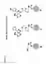 Fig. 13 - PYRAZOLO PYRIMIDINE DERIVATIVES AND METHODS OF USE THEREOF