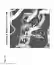 Fig. 24 - PYRAZOLO PYRIMIDINE DERIVATIVES AND METHODS OF USE THEREOF