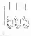Fig. 28 - PYRAZOLO PYRIMIDINE DERIVATIVES AND METHODS OF USE THEREOF