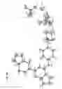 Fig. 19 - POLYMORPH OF SYK INHIBITORS