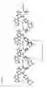 Fig. 21 - POLYMORPH OF SYK INHIBITORS