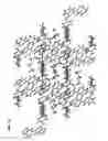 Fig. 22 - POLYMORPH OF SYK INHIBITORS