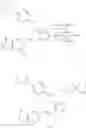 Fig. 32 - POLYMORPH OF SYK INHIBITORS