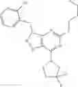 Fig. 138 - Triazolo[4,5-D]pyrimidine derivatives