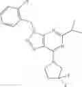 Fig. 18 - Triazolo[4,5-D]pyrimidine derivatives