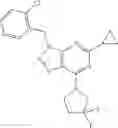 Fig. 22 - Triazolo[4,5-D]pyrimidine derivatives