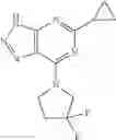 Fig. 23 - Triazolo[4,5-D]pyrimidine derivatives