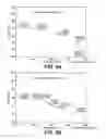 Fig. 09 - ORGANOSILICA MATERIALS AND USES THEREOF
