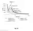Fig. 19 - ORGANOSILICA MATERIALS AND USES THEREOF