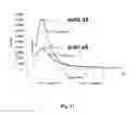 Fig. 12 - Organosilica materials and uses thereof