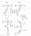 Fig. 07 - Multimeric dual-modality breast cancer diagnostic agents