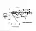 Fig. 09 - Conjugates Containing Hydrophilic Spacer Linkers
