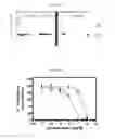 Fig. 12 - Conjugates Containing Hydrophilic Spacer Linkers