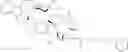 Fig. 89 - Conjugates Containing Hydrophilic Spacer Linkers