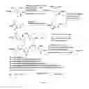 Fig. 09 - OLIGOPEPTIDES AND PROCESS FOR PREPARATION THEREOF