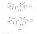 Fig. 11 - OLIGOPEPTIDES AND PROCESS FOR PREPARATION THEREOF