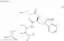 Fig. 09 - COMPOUND FOR LABELING SUGAR CHAIN SAMPLE