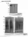 Fig. 03 - METHODS AND COMPOSITIONS FOR LABELING POLYPEPTIDES