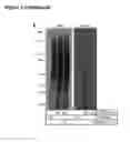 Fig. 04 - METHODS AND COMPOSITIONS FOR LABELING POLYPEPTIDES