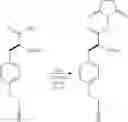 Fig. 21 - METHODS AND COMPOSITIONS FOR LABELING POLYPEPTIDES