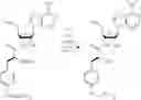 Fig. 28 - METHODS AND COMPOSITIONS FOR LABELING POLYPEPTIDES