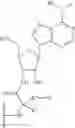 Fig. 30 - METHODS AND COMPOSITIONS FOR LABELING POLYPEPTIDES