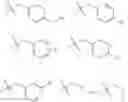 Fig. 31 - METHODS AND COMPOSITIONS FOR LABELING POLYPEPTIDES