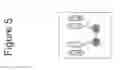 Fig. 06 - Growth differentiation factor 15 (GDF-15) constructs