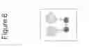 Fig. 07 - Growth differentiation factor 15 (GDF-15) constructs