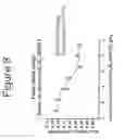 Fig. 09 - Growth differentiation factor 15 (GDF-15) constructs